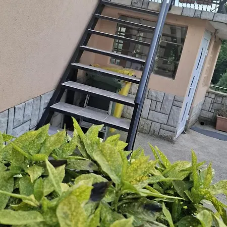 Apartman Paradiso *